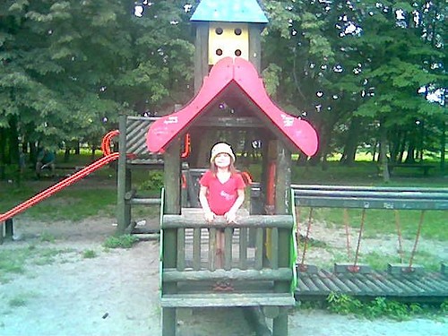 W parku