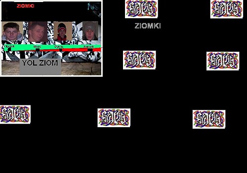 ziomki