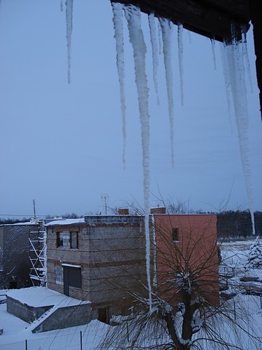 sopel seszyn