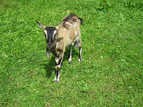 (ob)sesja