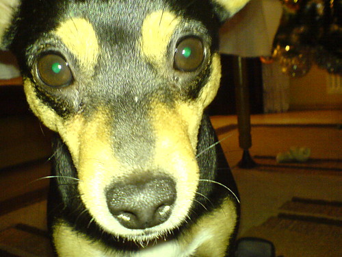 wiateko wieci:)