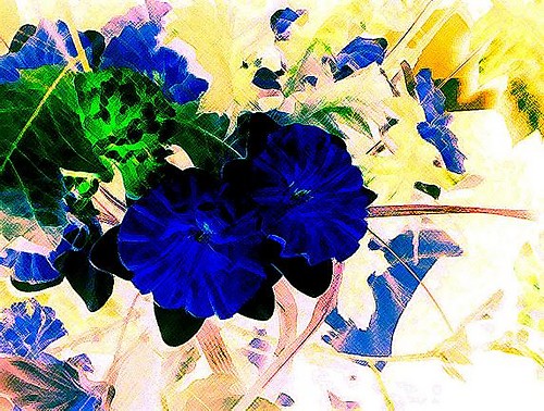 Flowers part.2