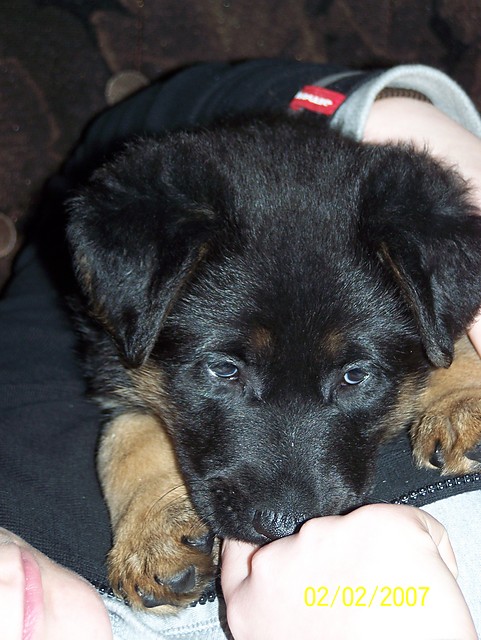 Kuba part 2