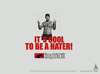it's cool to be a hater