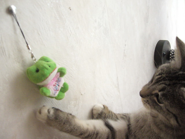 mruuu