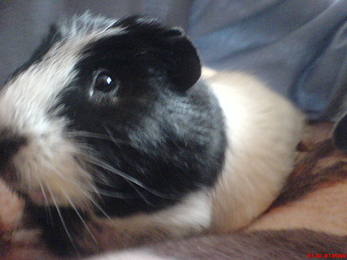 to moj pikus ;*