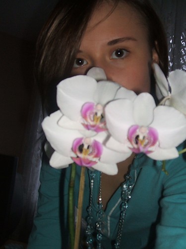 Orchidea;p