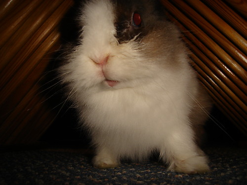 edzinek :* 