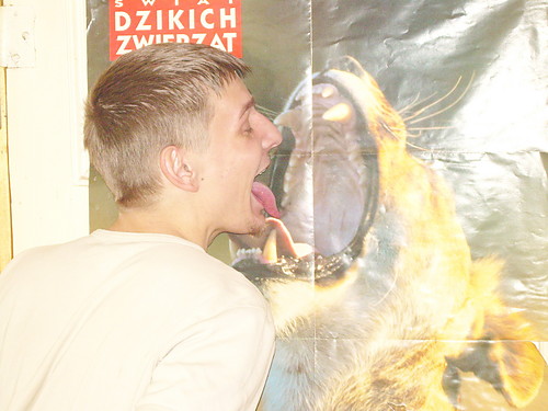 Lwitko