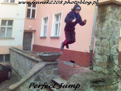 Perfect Jump