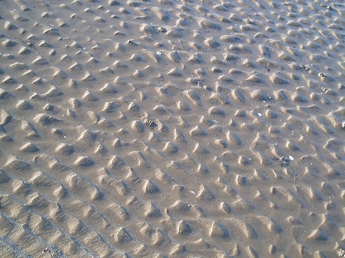 ....Marzenia.............
