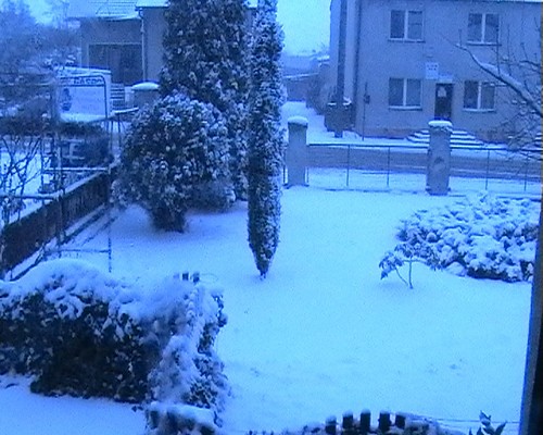 nieg wokoo...