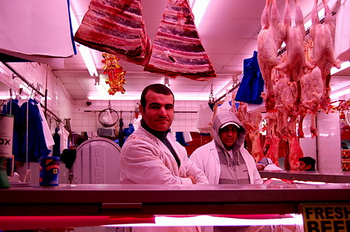 cow&chicken