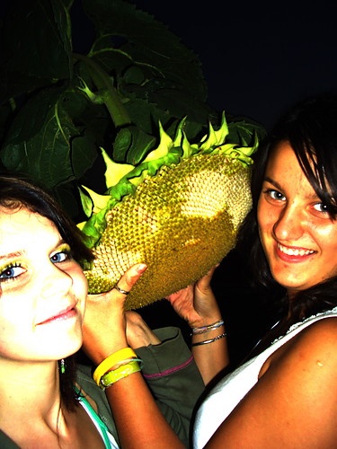 Ada i Ola:*