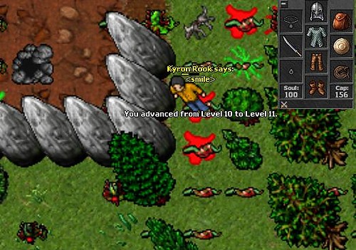 11 lvl