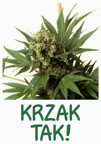 Bo ziele ma przyjaci wiele