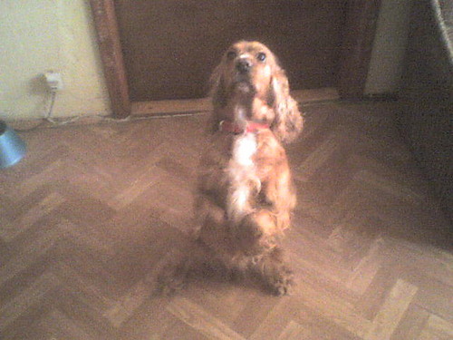 Wpis marcin2000
