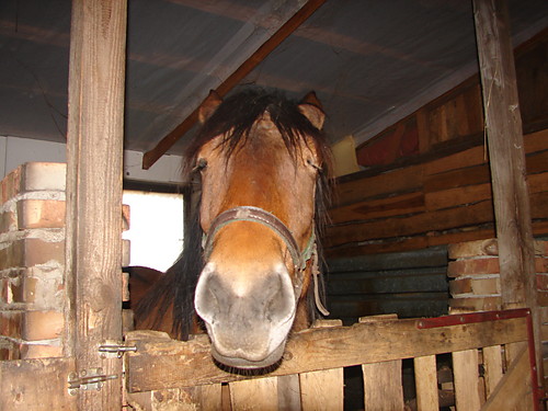 Jasna ;)