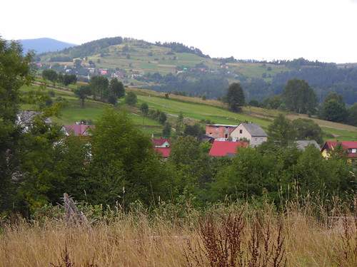 troszk wolnego