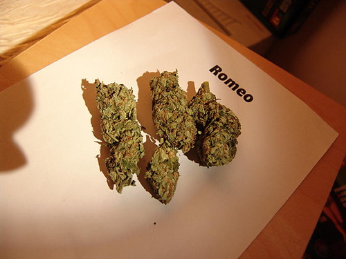 Romeo