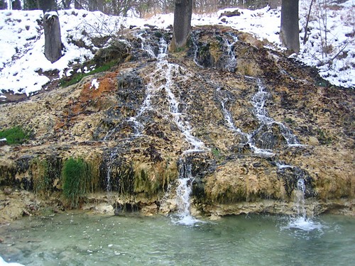 Wpis porannarosa