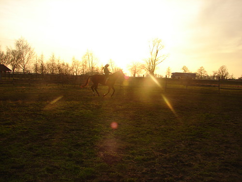 Galop :)