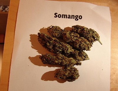 Somango