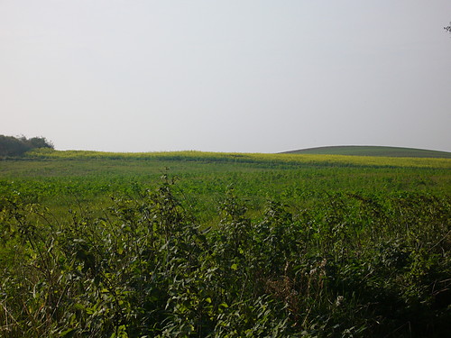 Do Koyski