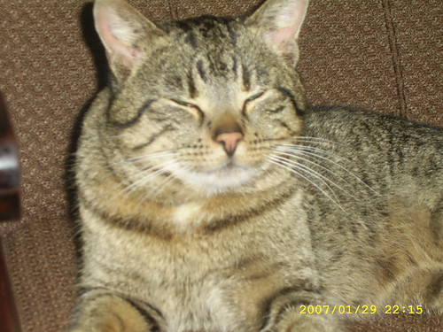 PUszEk :*