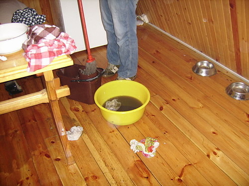 bilety, karteczka i powd :)