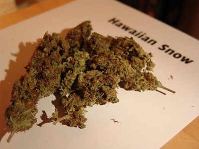 Hawaiian Snow