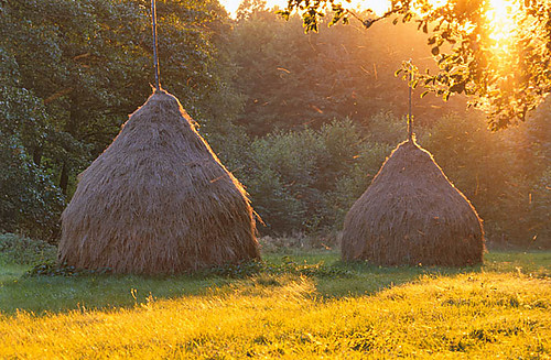 Kampinoski Park Narodowy