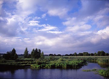 Narwiaski Park Narodowy