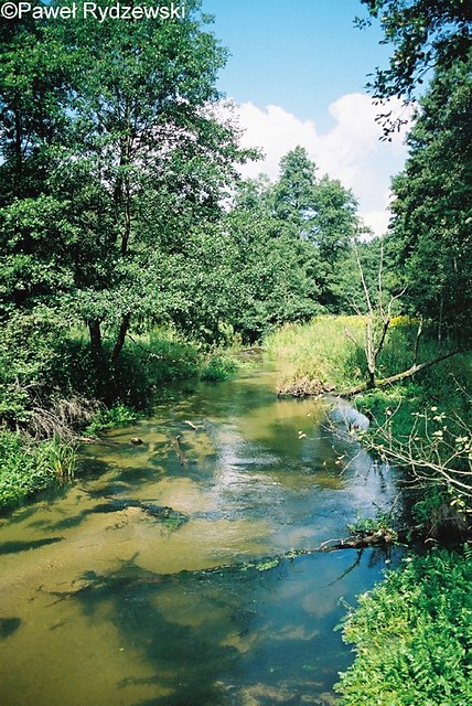 Roztoczaski Park Narodowy