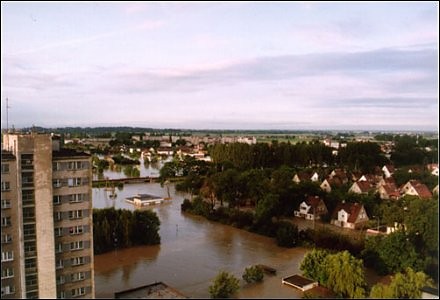 Powd 1997