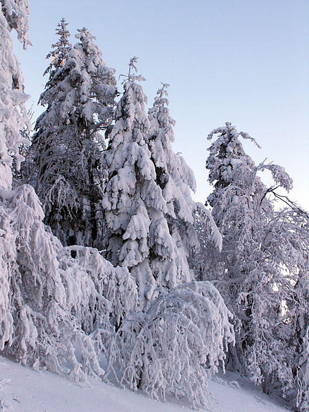 witokrzyski Park Narodowy
