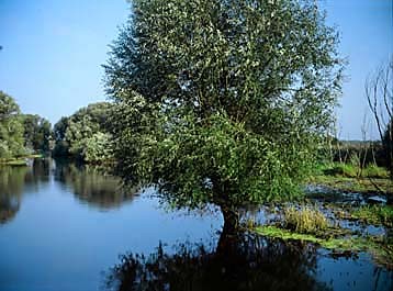 Park Narodowy Ujcie Warty