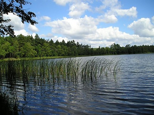 jeziorko brajec