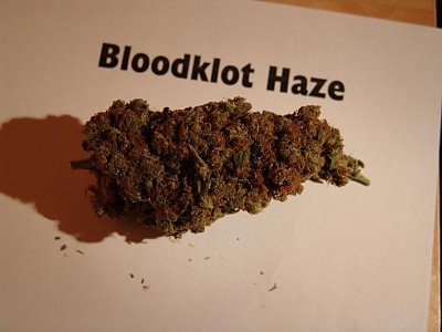 Bloodklot Haze