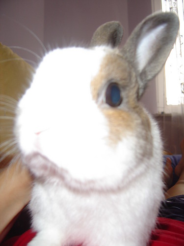 Wpis justynaaaaaaaaaa