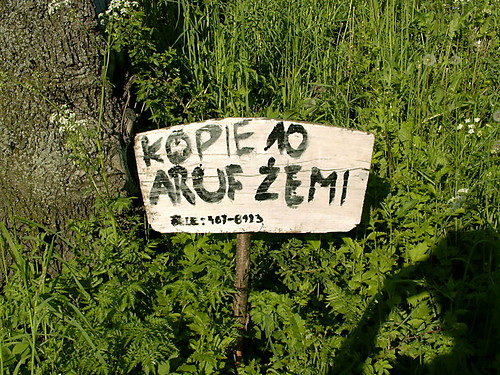 KONCIK ATORSKI #6: Dysmzgowie