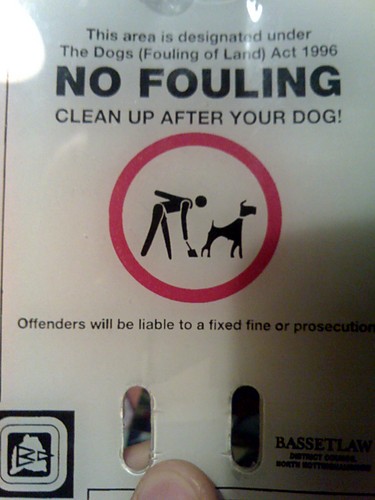 Wpis polishinenglish