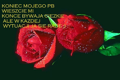 Wpis rzerzucha93