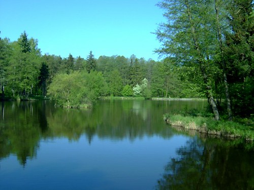 Wpis orinoko