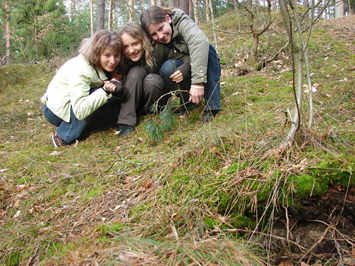 Wpis mienska