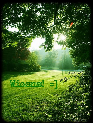 Wiosna.