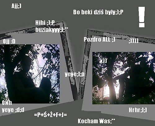 Wpis 123maja123