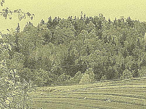 sepia
