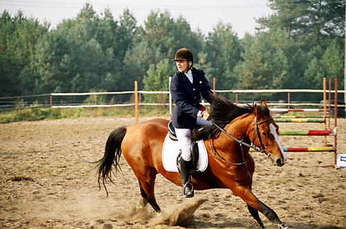 Hubertus 2006 w Stajni Iskra