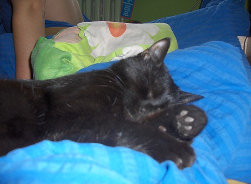 zzzzzzzzzzzzz............
